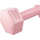 Image 5 for Гантелі для фітнесу композитні Gymtek 2х1кг рожевий