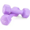 Гантели для фитнеса неопреновые Gymtek Hex 2х2кг сиреневый
