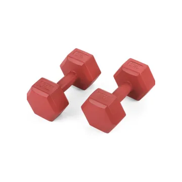 Гантелі для фітнесу композитні Gymtek 2х3кг червоний
