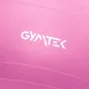 Image 3 for Фитбол Gymtek Queenfit 65см розовый + насос