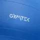 Image 4 for Фитбол Gymtek 65см синий + насос