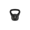 Гиря виниловая Gymtek 2кг черный