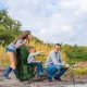 Image 4 for Кресло туристическое раскладное Outtec Sun XXL с крышей зеленый