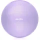 Image 8 for Фітбол Gymtek 65см лавандовий + насос